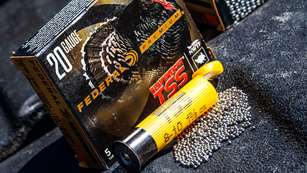 firstlook-federalheavyweighttssblended_lead.jpg