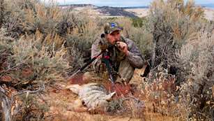 Essential Gear For Predator Hunting The West Lead