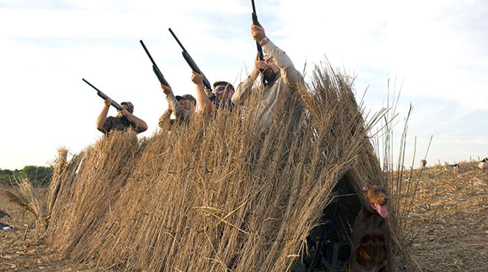 Building the Ultimate Duck Blind: A Comprehensive Guide