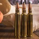 BTB 284 Winchester Lead