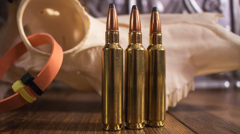 Behind the Bullet: .284 Winchester | An Official Journal Of The NRA