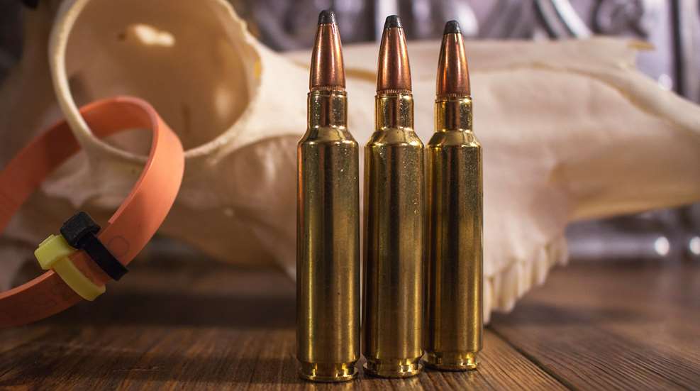BTB 284 Winchester Lead