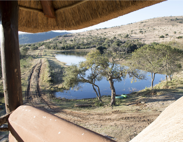 View From Bombazi's Lounge