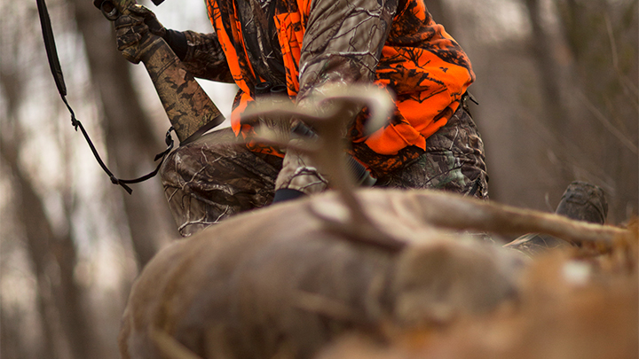 Hunter Walking Up to Whitetail Buck on Ground