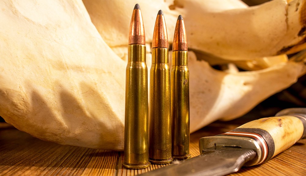 Three .303 British 150 grain rifle cartridges standing on wood table.