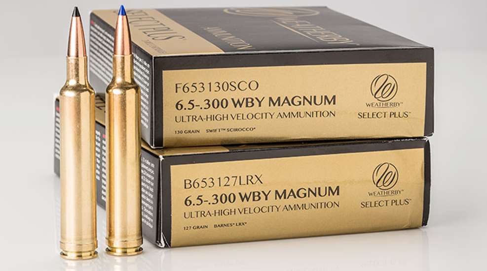 hw_65_wby_f.jpg