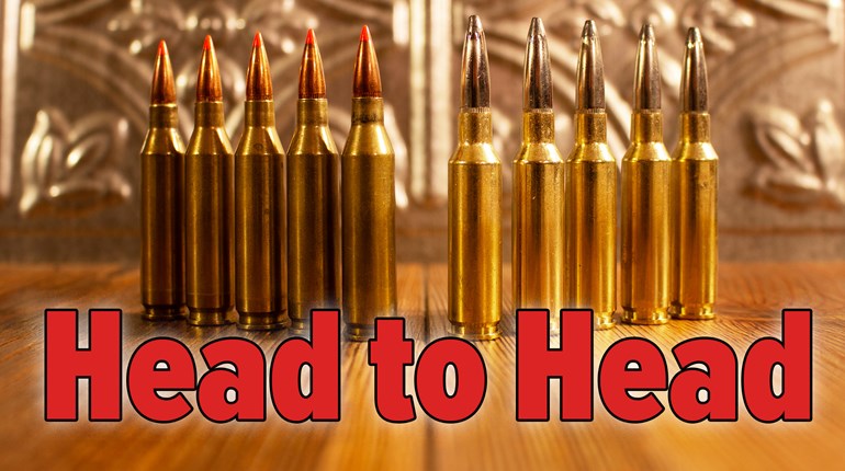 Head to Head: .243 Winchester vs. 6.5 Creedmoor | An Official Journal Of The NRA