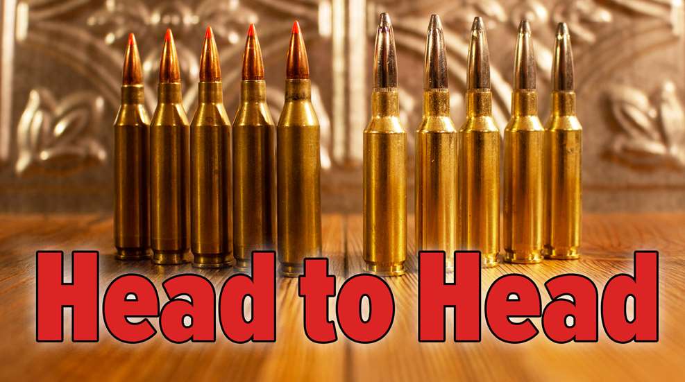 H2H 243 Winchester Vs 6.5 Creedmoor Lead