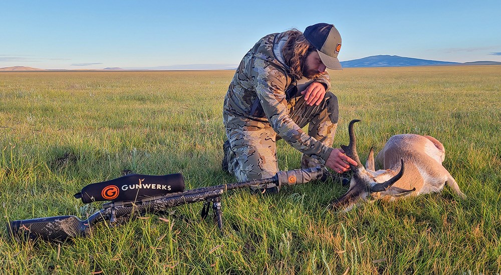 Hunter admiring pronghorn antelope in open grassy field.