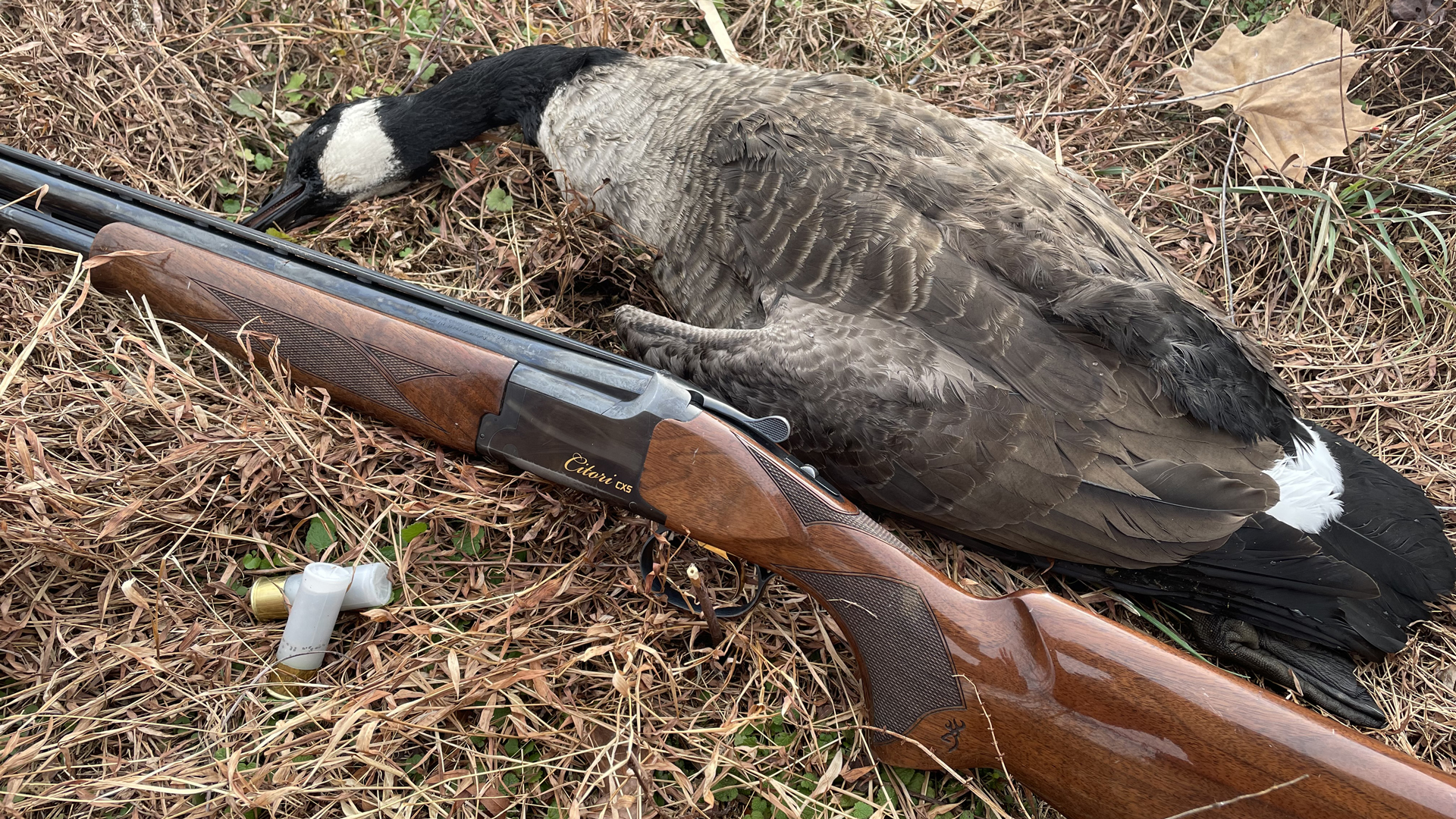 Goose And Gun 2