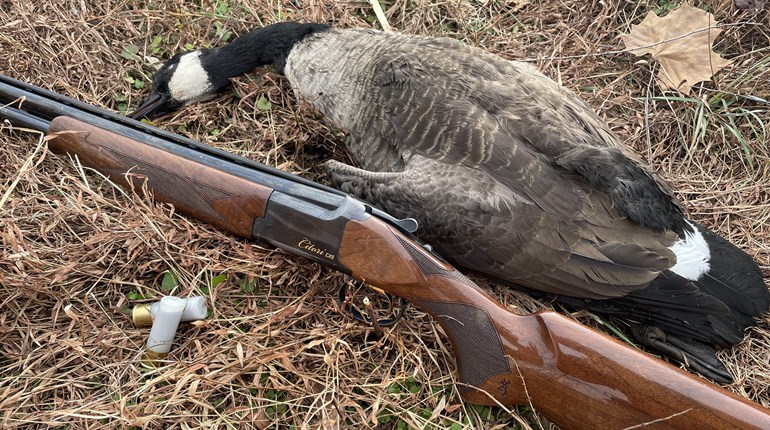 Choosing the Proper Goose Load | An Official Journal Of The NRA