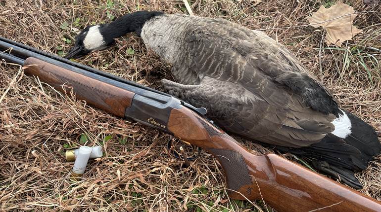 Choosing the Proper Goose Load | An Official Journal Of The NRA