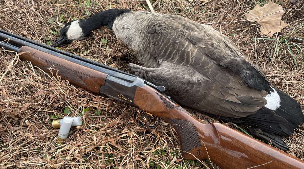 Goose And Gun 2