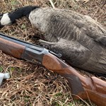 Choosing the Proper Goose Load | An Official Journal Of The NRA
