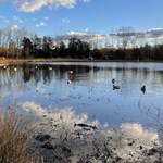 7 Sure-Fire Ways to Fail When Hunting | An Official Journal Of The NRA