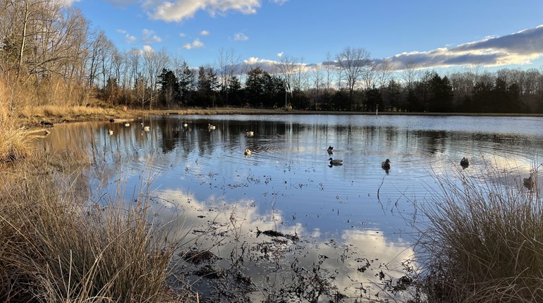 7 Ways to Fail at Hunting | An Official Journal Of The NRA