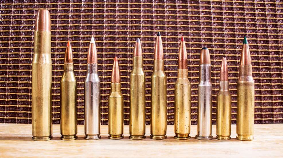 10 Great Low Recoil Hunting Cartridges Lead
