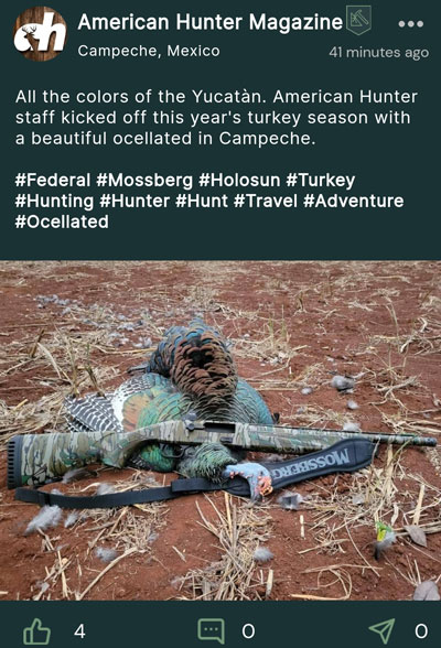 First post by American Hunter on Camospace of ocellated turkey