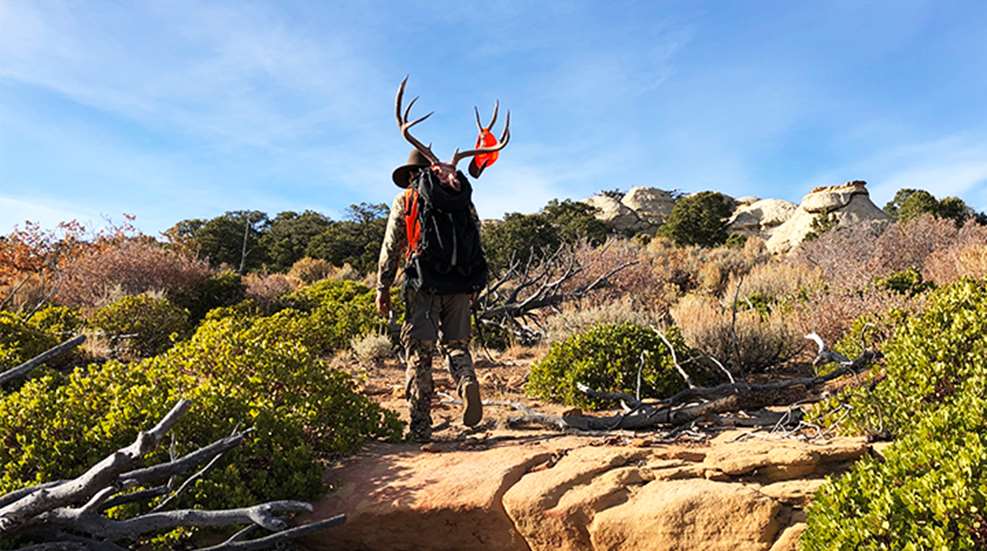 tips-and-tactics-for-hunting-the-west_lead.jpg