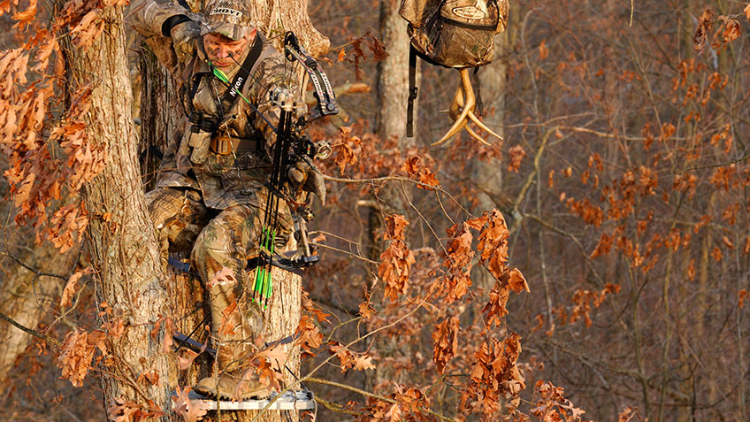 Know-How: Smart Plans for Rut Stands | An Official Journal Of The NRA