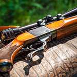 ruger_no_1_pm_f.jpg