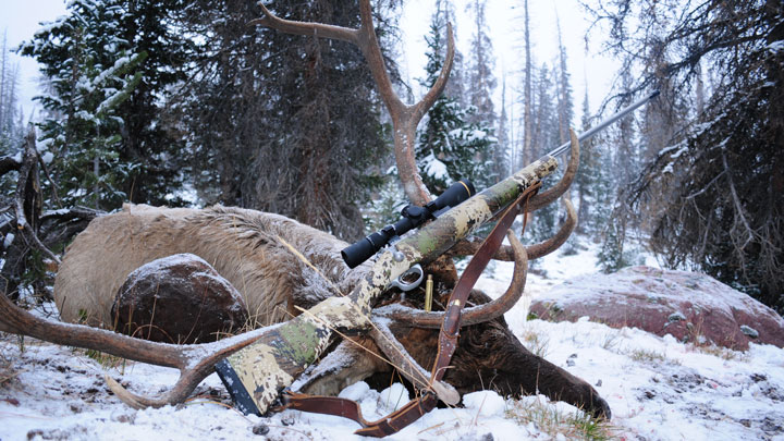A rifle lays in the antlers of an elk, down in the snow
