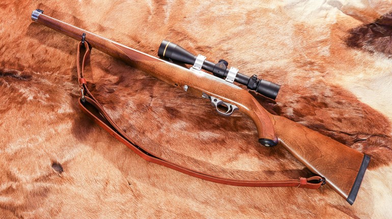 An Ode to the Ruger 10/22 | An Official Journal Of The NRA