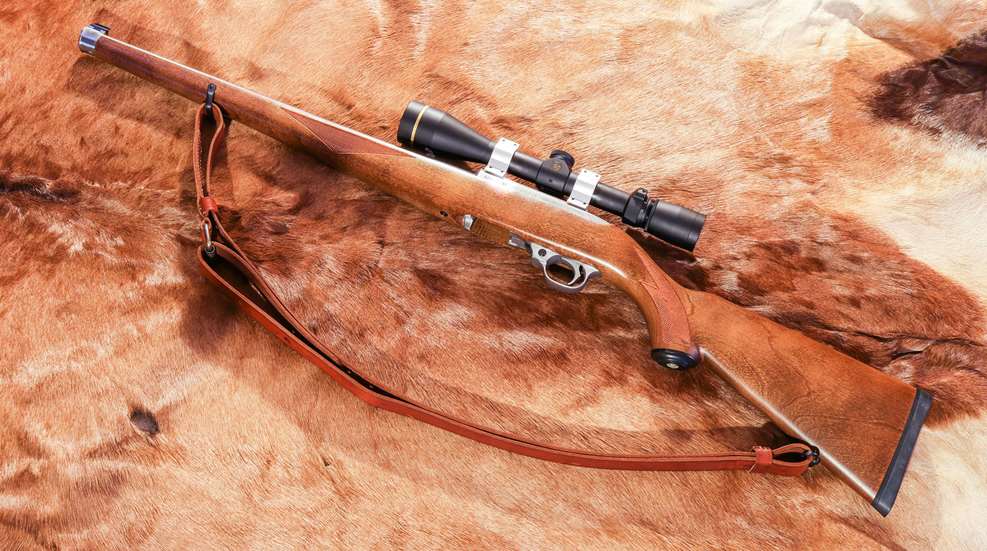 Ruger 1022 Lede Photo