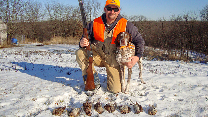 Quail hunter with 12-year-old German shorthair hunting dog