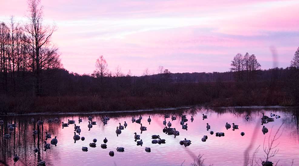 reelfootlake_lead.jpg