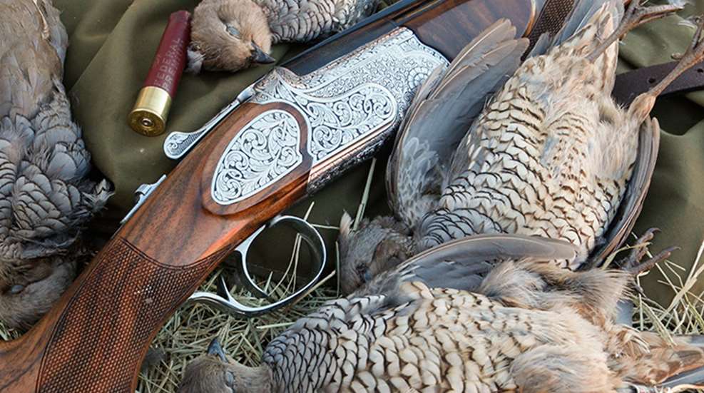cz_quail_gun_f.jpg