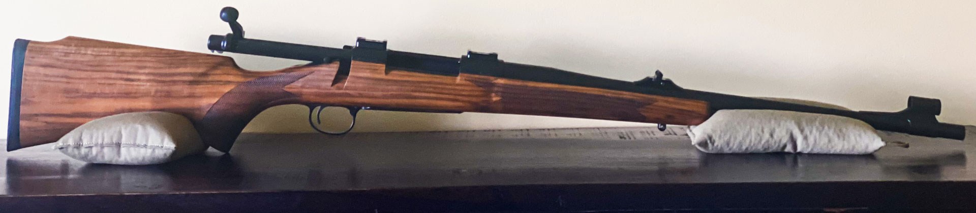 Remington 700 bolt gun