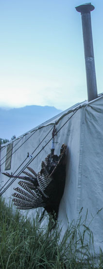 Turkey hanging upside down next to large white tent with stovepipe