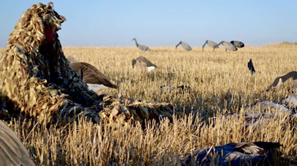 2012926142854-canada_beckons_f.jpg