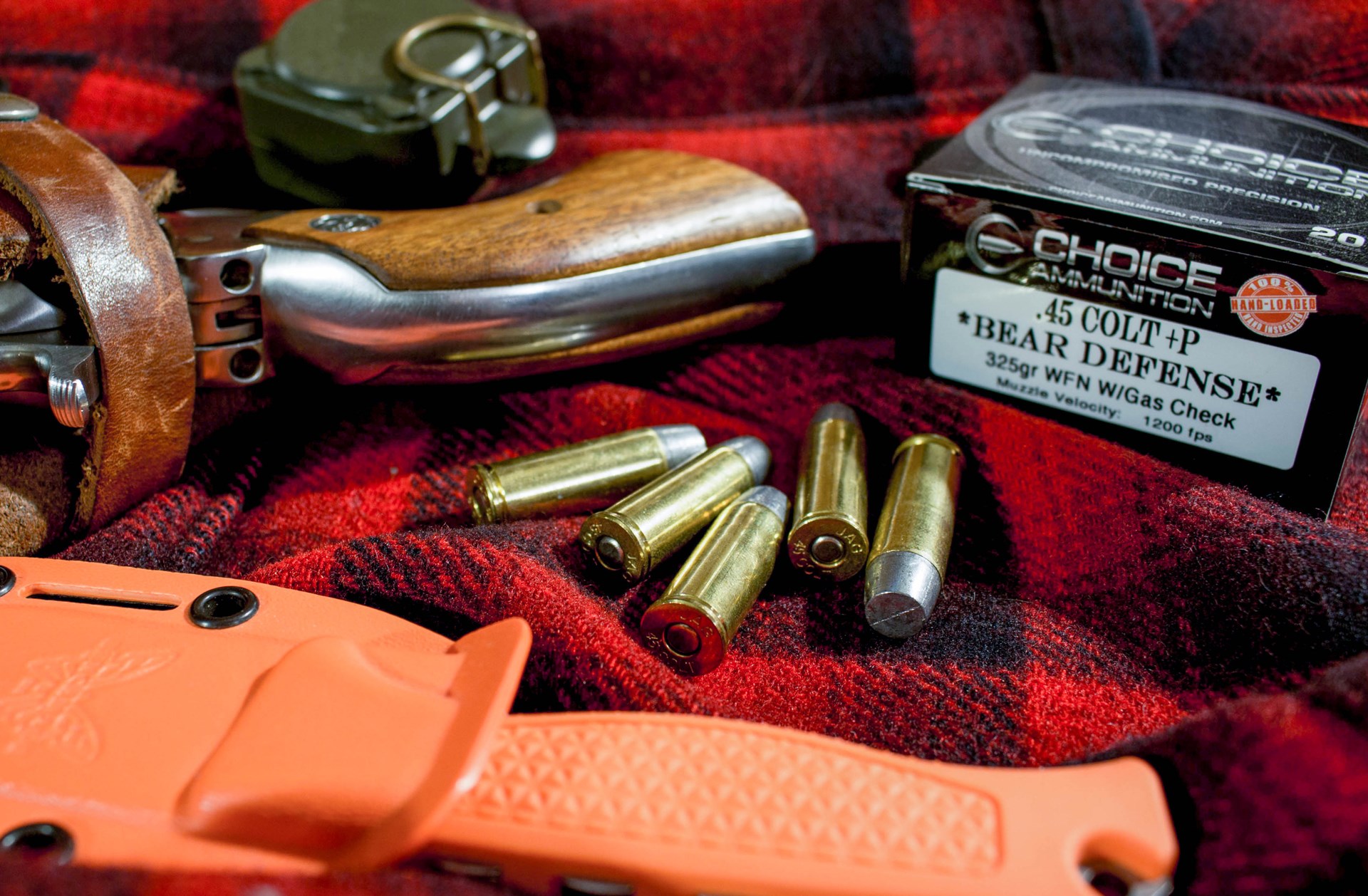 45 Colt Bear Load