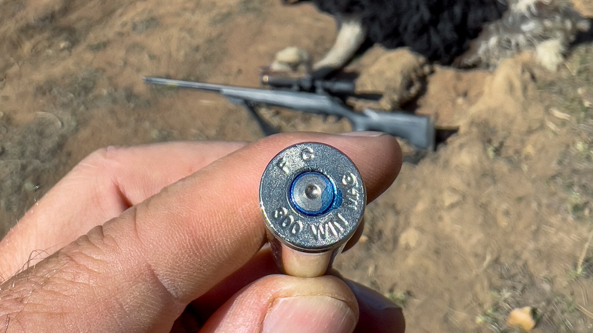 Ostrich with headstamp