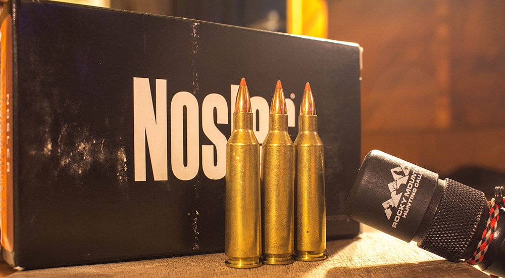 Nosler .22-250 Remington ammunition cartridges lined up on tabletop.