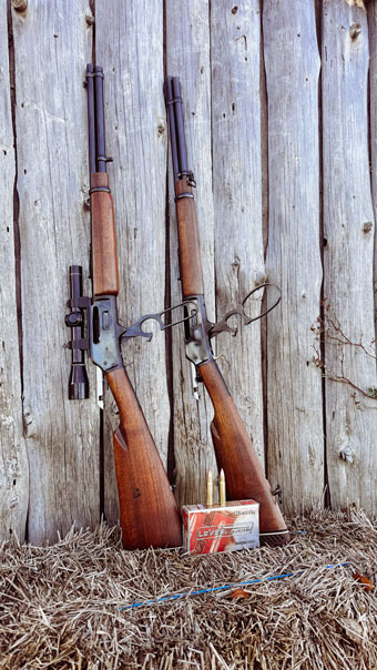 Marlins side by side