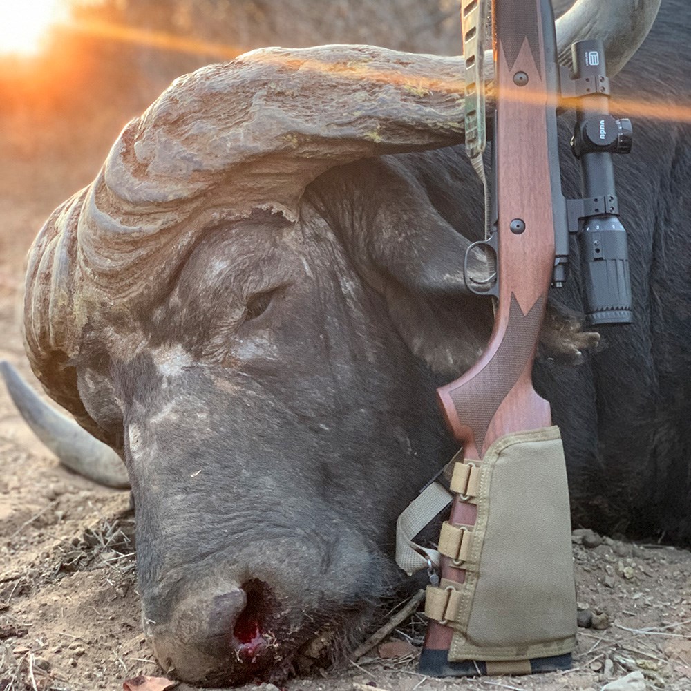 Cape buffalo on the ground with bolt action rifle resting against horns.