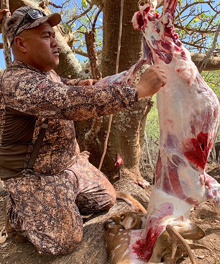 Molokai resident skinning axis deer.