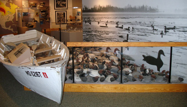 Decoys and Waterfowling Tradition