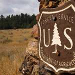 insandouts-public-landhunting_lead.jpg