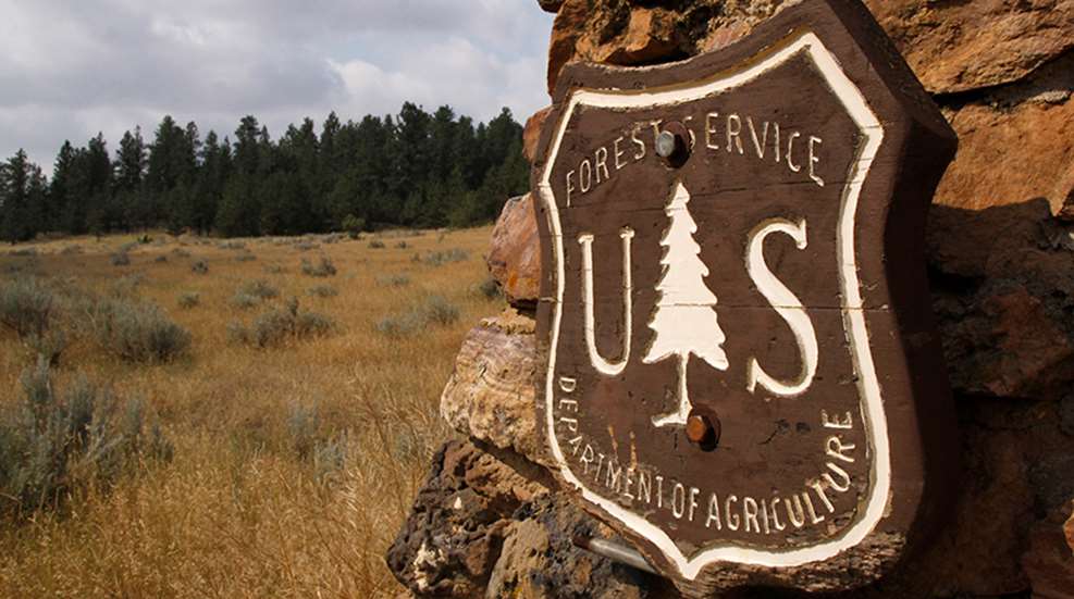 insandouts-public-landhunting_lead.jpg