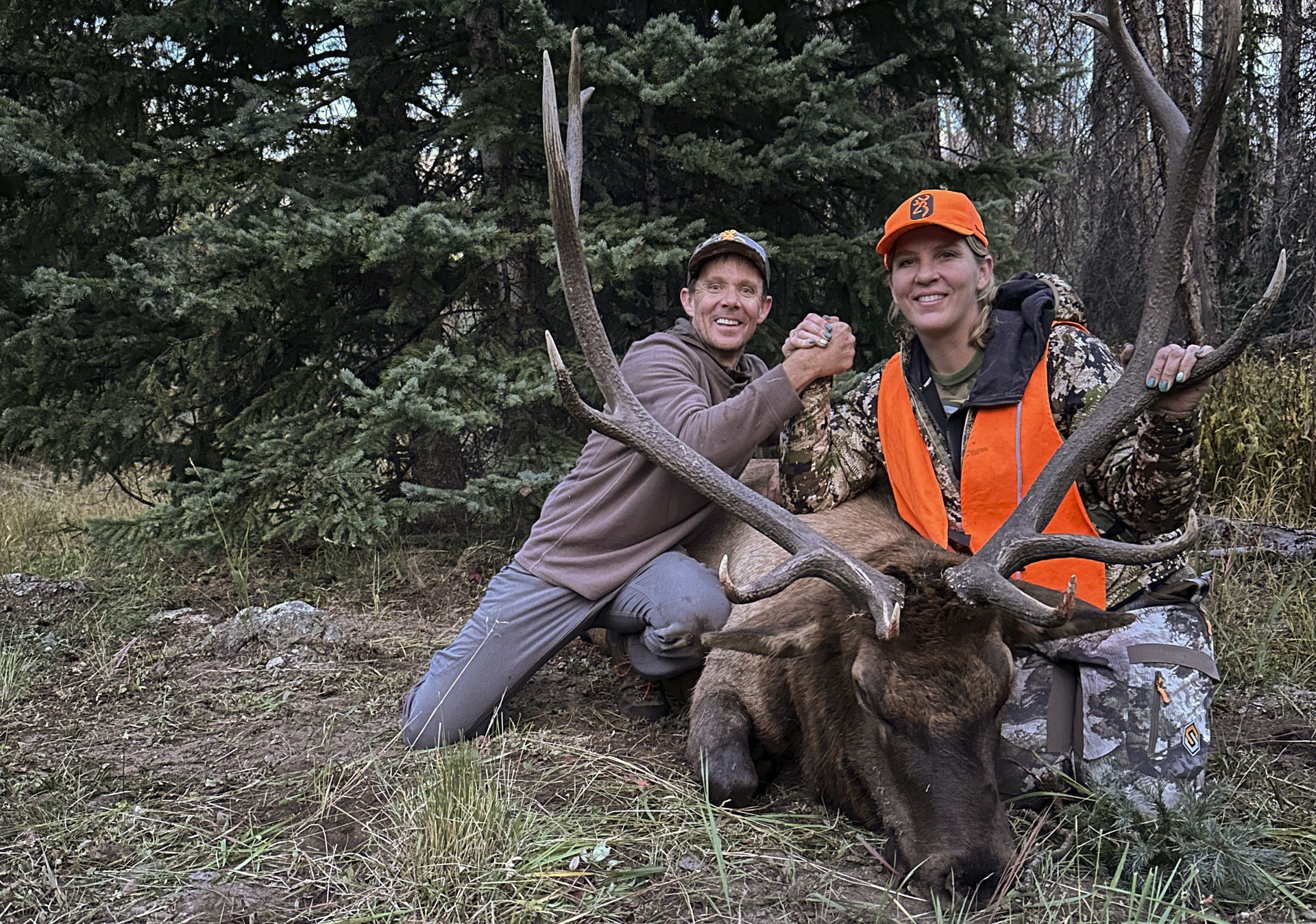 Wife Elk