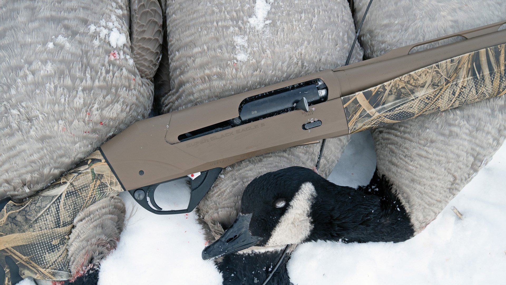 Benelli Super Black Eagle 3 SBE3 semi-automatic shotgun shown with brown metal camo stock with harvest canada goose
