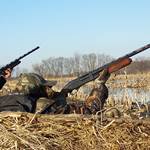 Landmark Increase in Hunting Access to Federal Land on the Horizon | An Official Journal Of The NRA