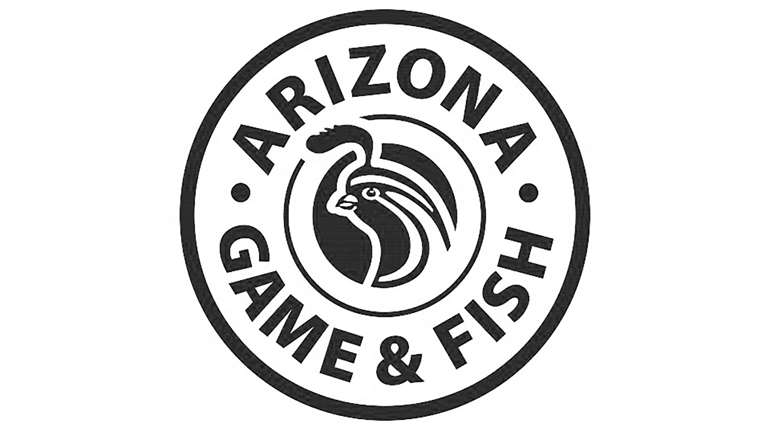 Ledearizona Outdoor Expo