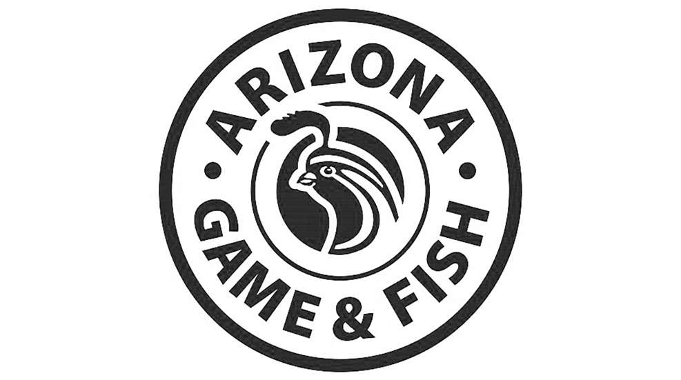 Ledearizona Outdoor Expo