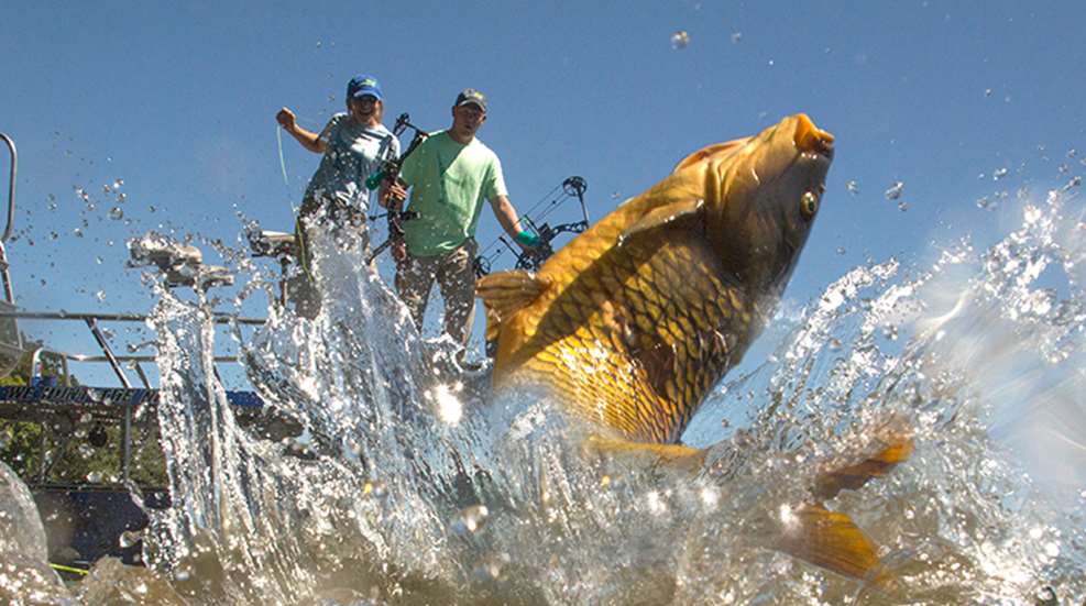 bowfishing_f.jpg
