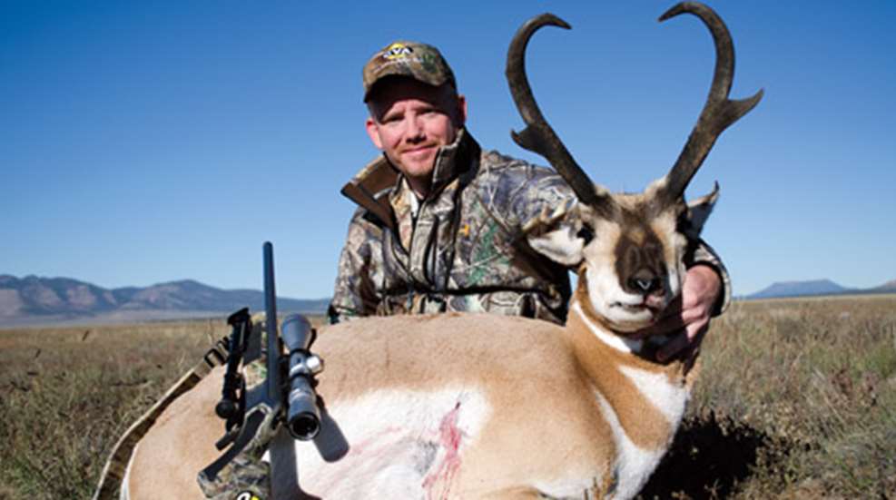 20121022135524-pronghorn_paradise_f.jpg
